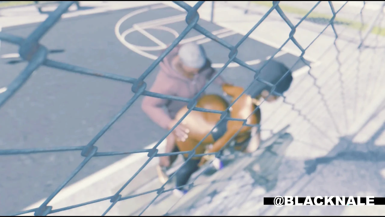 BBC Backshots At The Park (Beat Banger)