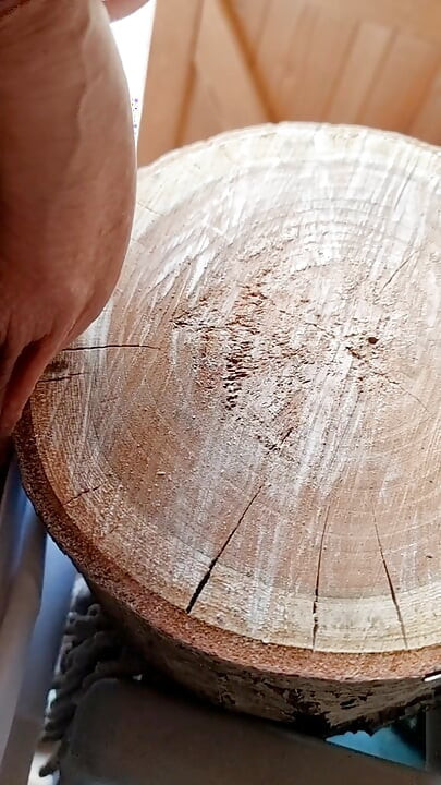 Punishing the tail and nailing it to the wood