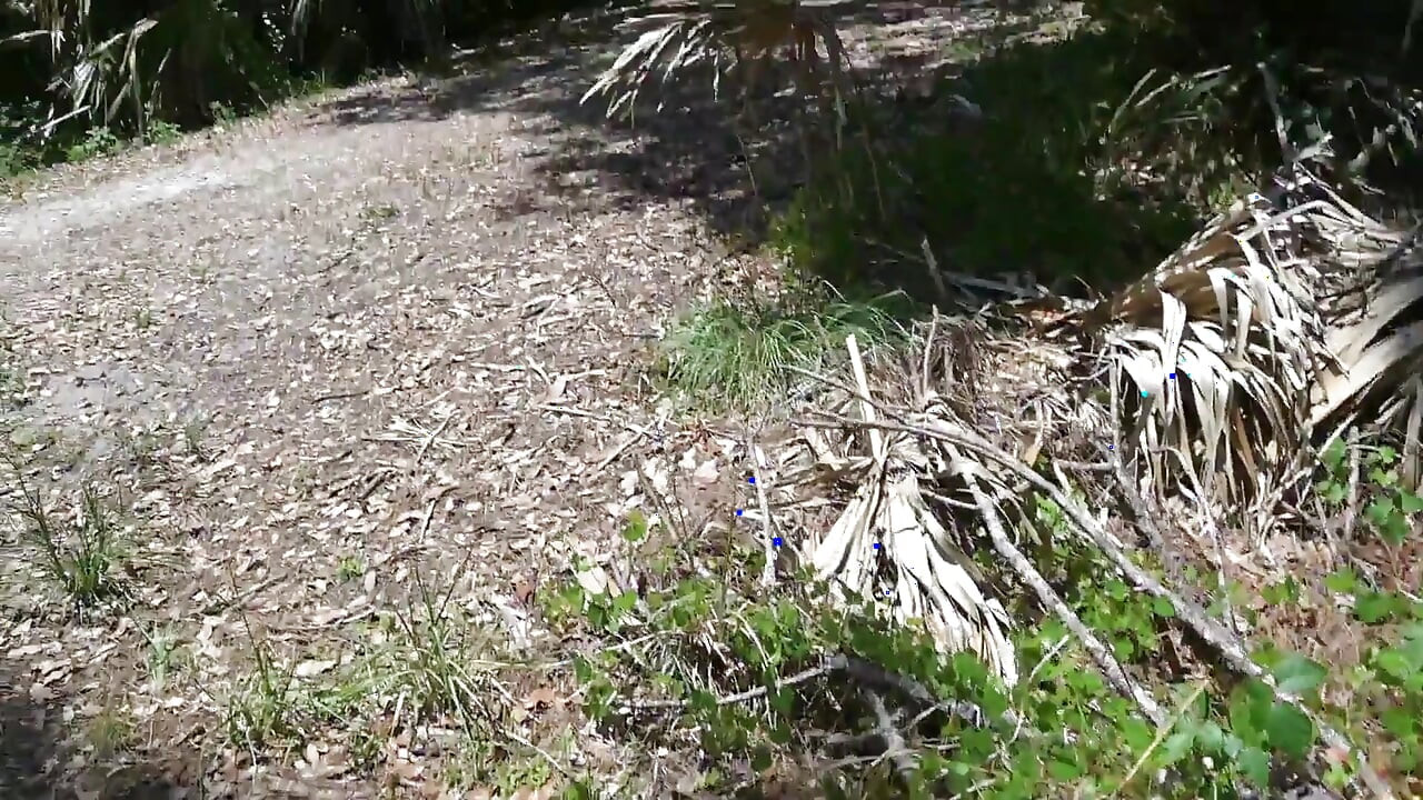 BTS naturvandring og onani på stien