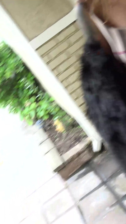 Skønhed Kitty Carrera får hvert hul kneppet hårdt af Bryan Gozzling! | Klip 1