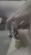 Pregled videozapisa