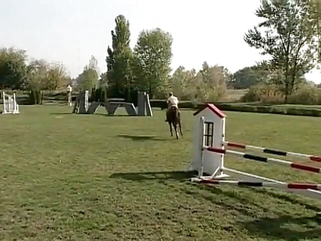 Wild Ride 3