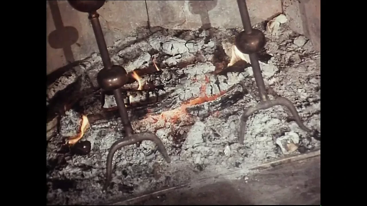Uccelli in paradiso (Full Original Movie in HD Version)