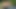 She makes a porn video in the park with her friend