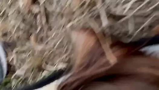 The perverted old farmer fucks me so hard that my milk tits cum