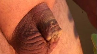 Winzige Penis- und Sackklemme