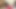 Beyaz orta yaşlı seksi kadın elbisesini giyerken yakaladıktan sonra siyah hizmetçisiyle edepsizce eğleniyor