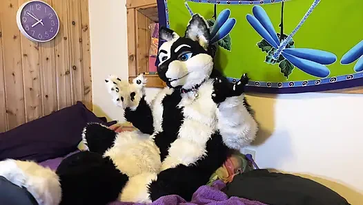 Furry Love - Cliff Media Productions