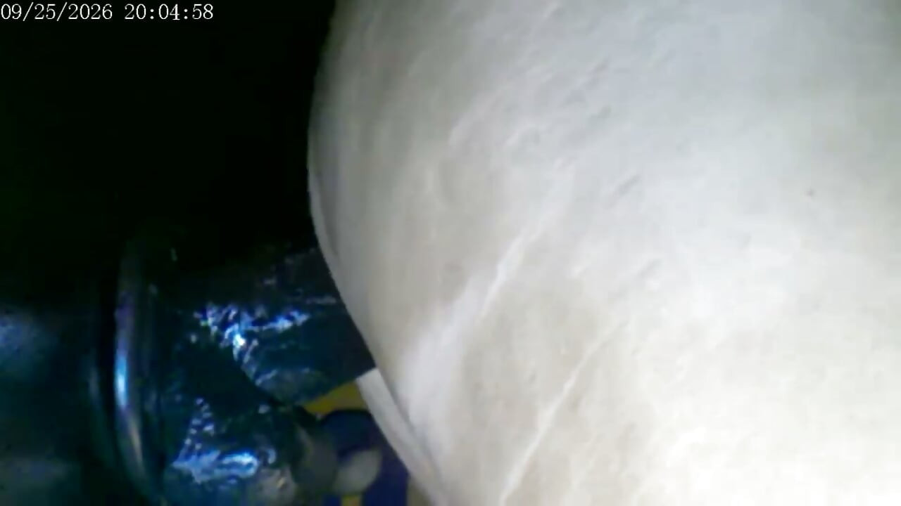 9-25-26 Cam 2 Compilation Friday Friends Day Toy Ride Thank You for Driving My Ranking and Revenue Love to You All.
