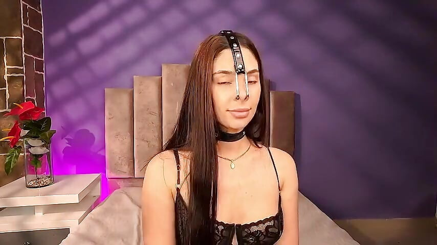 Arpone 돼지 코