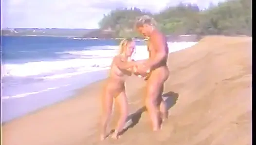 Gizli ajanlar Francois Papillon ve Kascha Syndicate Big Fish'i yakalamak için Hawaii'ye gönderildiler