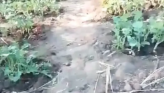 African amateur naked in the bush