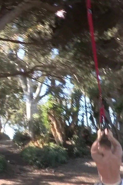 シャンコディ - ブロディ&カーティス・ベアバック - カーティス、ブロディ