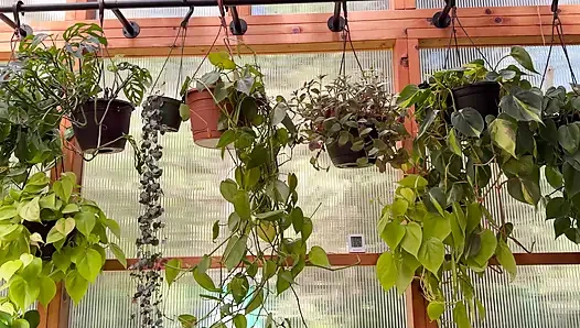 Spring Greenhouse Tour
