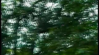 Pretty young shemale Claudia Hunter in red lingerie was banged on the cutting in a forest