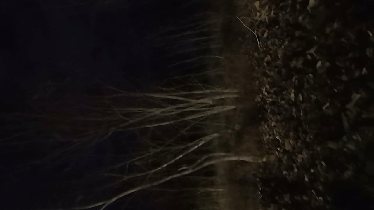Tiktok Slut Almost Caught in Woods by Rangers & People Still Proceeds On Give Stepdaddy What He Wishes Even Peeing - Mastermeat1