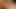 SPH. Kaira Love prefers big dicks