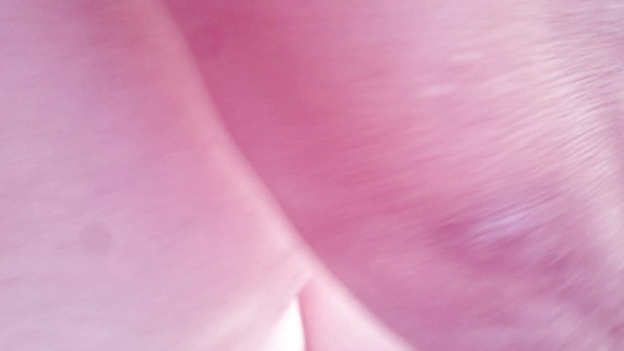 Cuckold Wife's Secret Camping Adventure, horny slut wife and cuckold talking dirty and fucking at tend