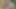 I Go on an Adventure to the Jungle with My Shy Stepsister and I End up Fucking Her Hard and Cumming Hard in Her Mouth
