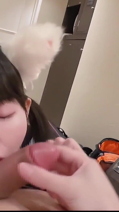 Cum Meow.HENTAI gata asiática que se masturba enquanto faz boquete. | Clip 2