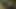 Flemish sluts 2 - military domain