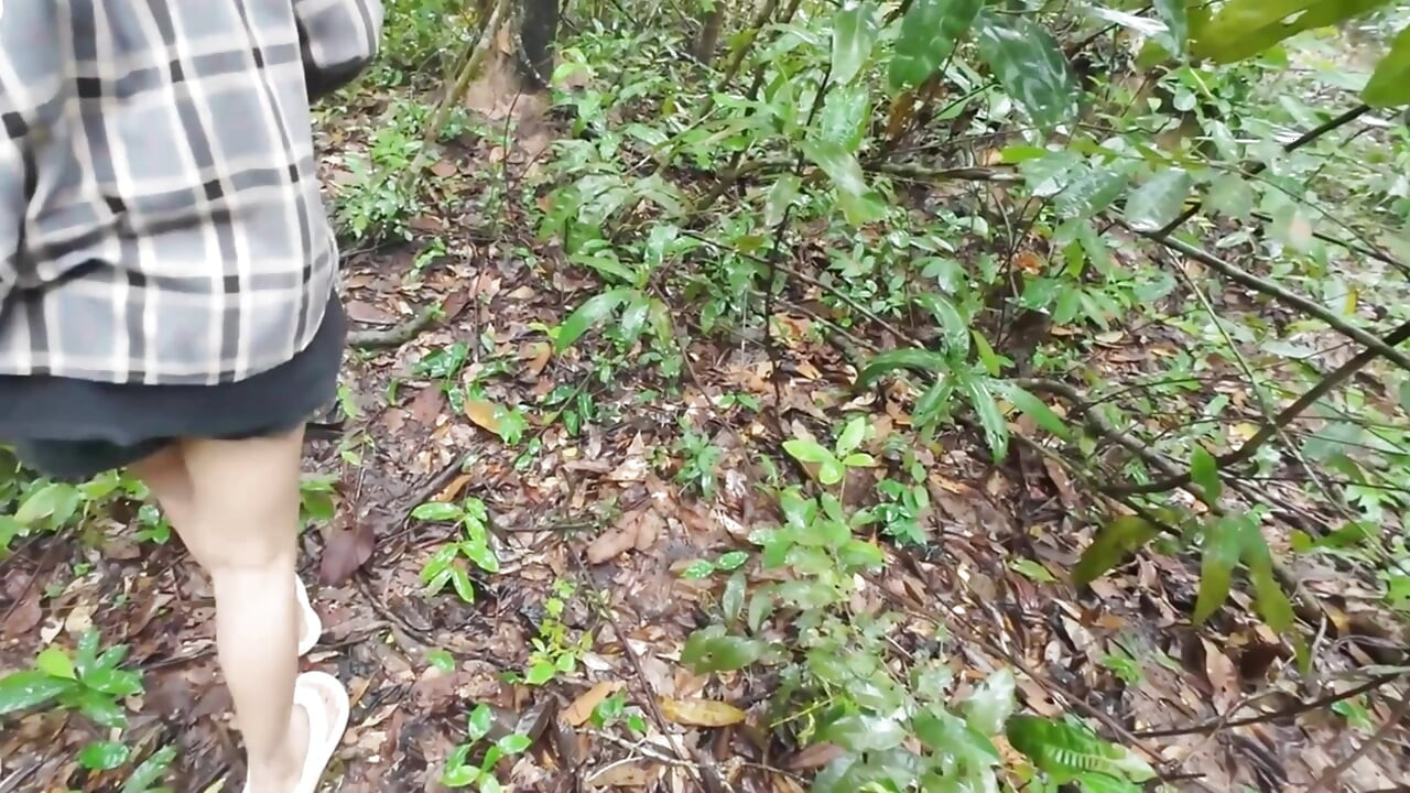 Thai girls walking and talking and picking mushrooms in the forest, secretly showing in the deep forest Clear Thai voice