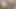 I LOVE CUM IN MY MOUTH, TONGUE LONG TONGUE, KISS, SIX PACK, FITNESS GYM, SUBMISSIVE, WOMEN'S LINGERIE