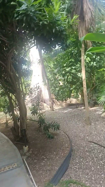 A lil slice of Paradise - Caribbean joy and delights | Clip 2