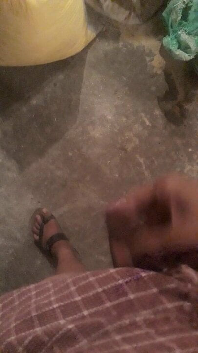 Desi land
