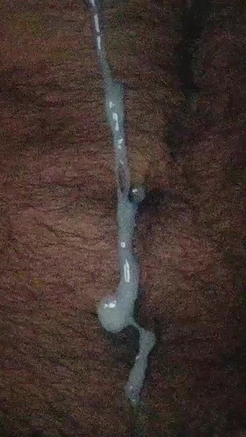 A "Two Cum Continue - Alone Boy maszturbál" kulcsfontosságú pillanata