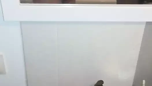 Solo