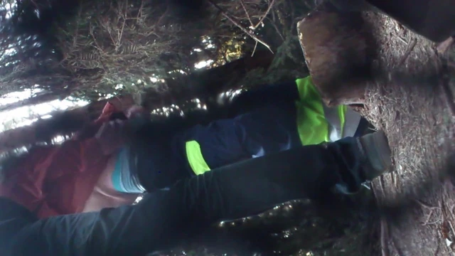 meeting in the wood