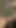 Mutfak konuşması sert lezbiyen eylemine dönüşüyor - Julia ve Vivy çığlık atana kadar birbirlerini parmaklıyor, öpüyor ve sikiyor