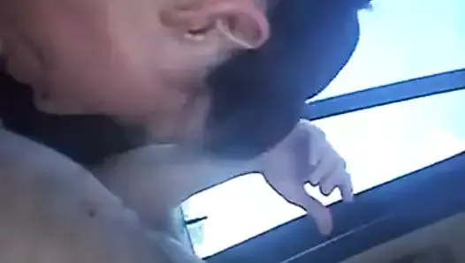 hooker swallow in car