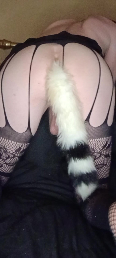 Trans girl shaking ass wearing tail butt plug