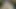 Indian Muslim cock for wife