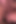 Neighbor Asks to Cum in Her Pussy During Ovulation