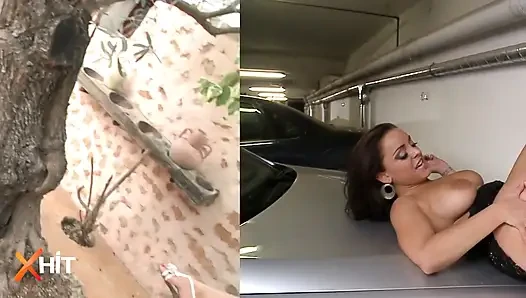 Vielfalt der Lust: Missionars-Compilation mit Ferrera Gomez und Freunden