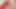 BoyCrush: Angel Kelly stenje između Kevina Greya i Alexa Toolea Završavajući ga vrućom kremom