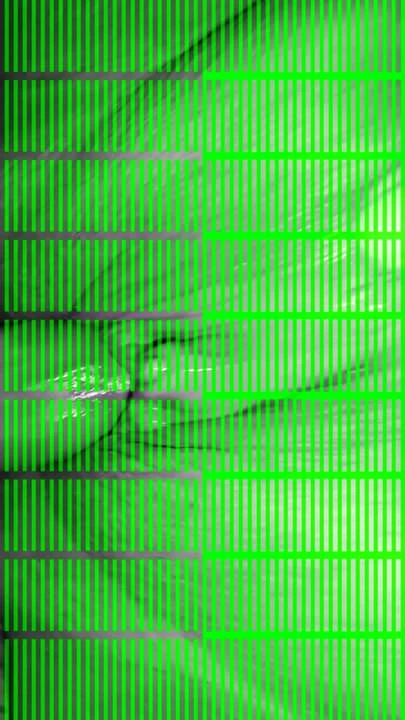 Schneller schwarzer BBW-Creampie