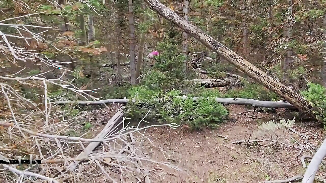 Slutty Hotwife Polyjswitch Finds Some Big Wood in the Forest