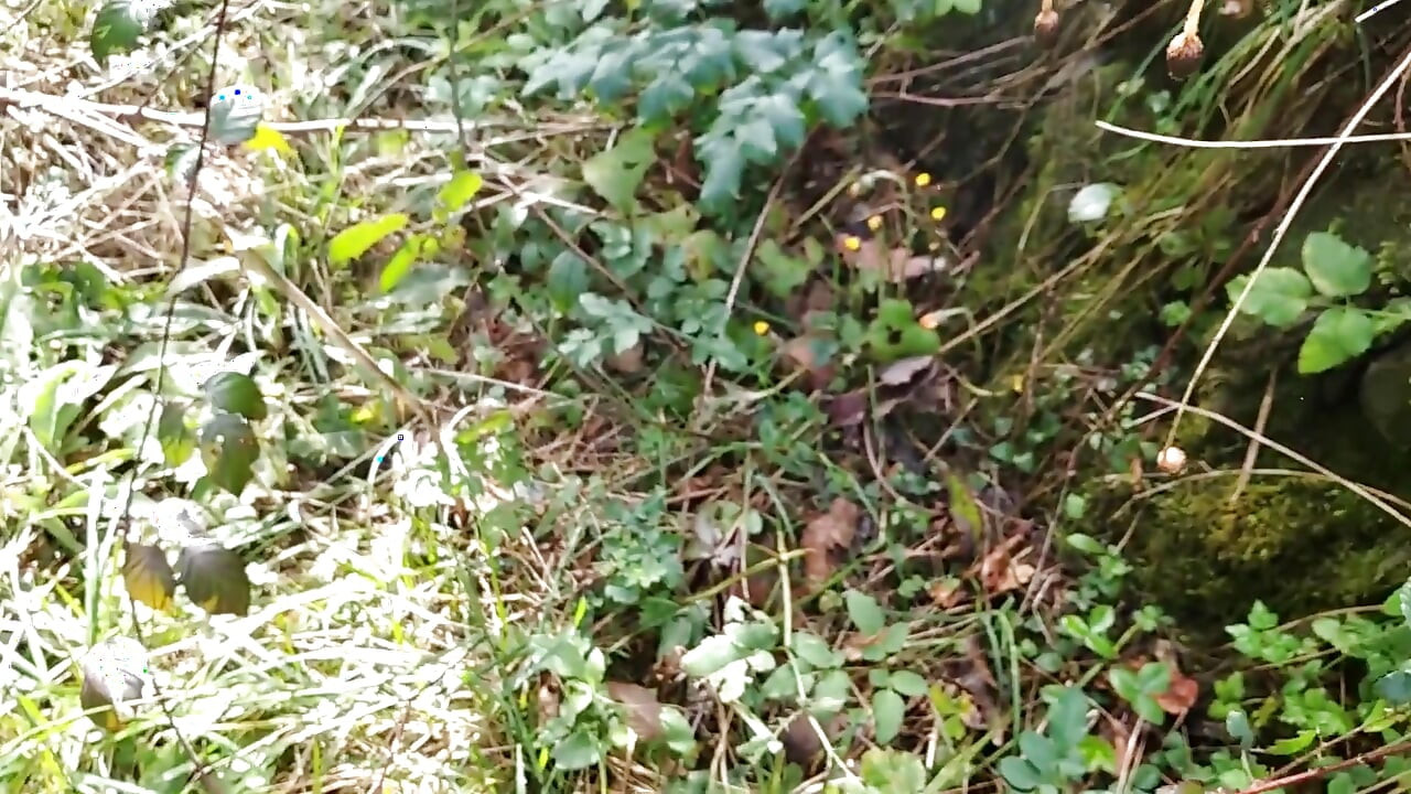 The Horny Stepfather Went on a Hike, When He Took Out His Bonita Cock a Tick Fell on His Cock