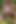 Daddy Getting Fucked in the Forest