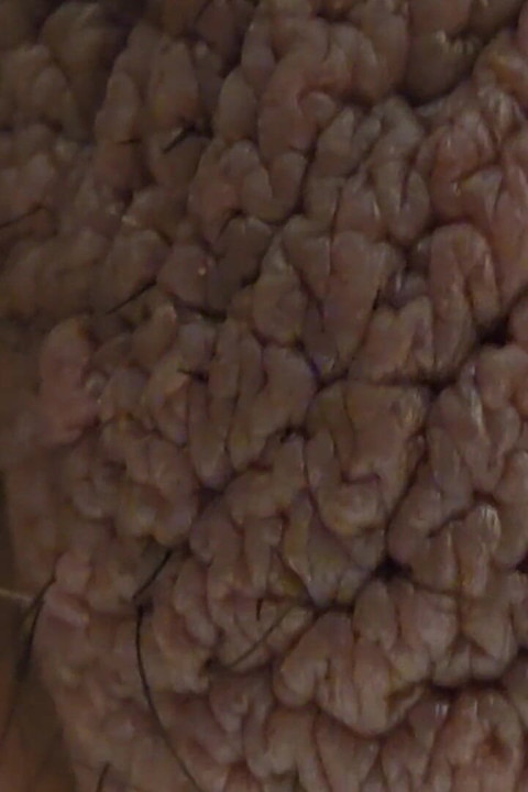 Closeup Desi Dick