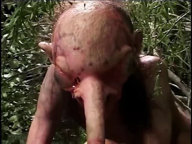 Blond chick with a big pussy outside hardcore slammed by dude with a long nose