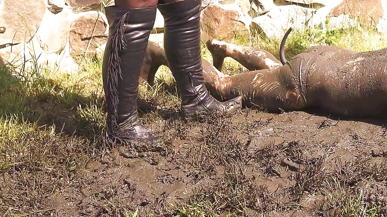 Poniženje, pljuvanje i pišanje na prljavu svinju - PIŠANJE I MUD