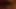 Stella &amp; kayci 018 büyük futa horoz