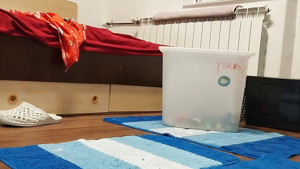 Amateur wife cleans the house naked.