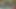 勝ったチームは、負けた二人に遊び心を込めて落書きをします