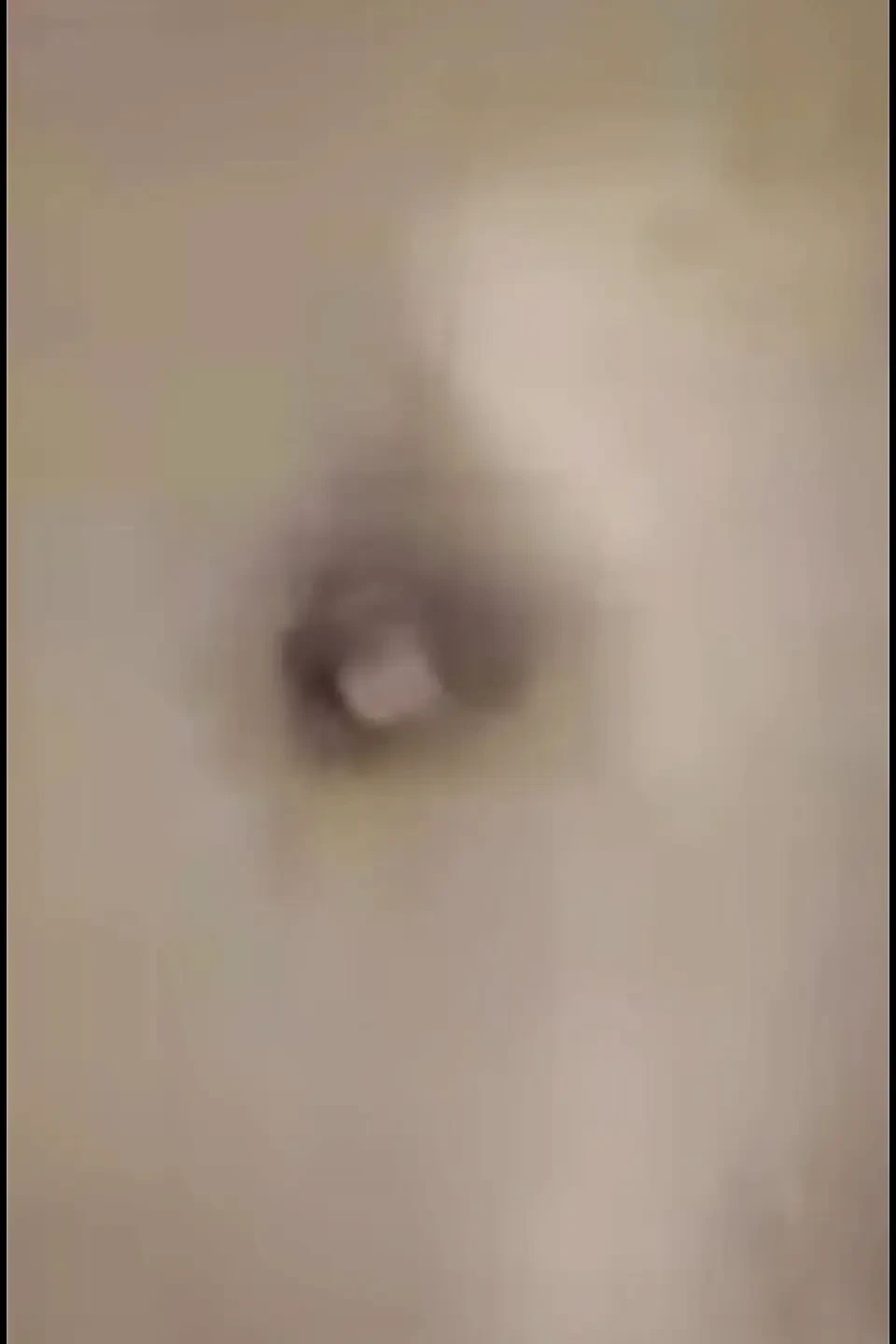 孟加拉女工干她的主人。